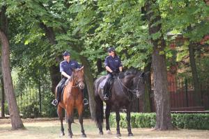 Policja świętowała 100. rocznicę powstania