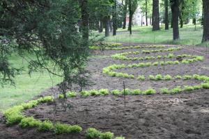 Trwają prace w Parku Rodego – umowa na dofinansowanie podpisana 