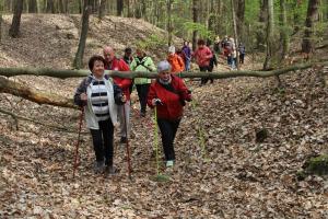 Nordic Walking w Parku Krajobrazowym