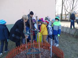 Uczniowie SP 12 posadzili Dąb Henryka Sienkiewicza