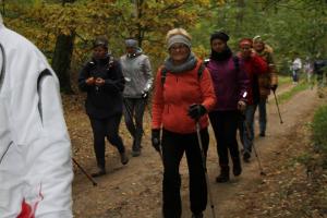 Rajd Nordic Walking wokół Żywocina